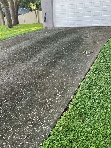 Driveway Cleaning Services Provider in Tampa Bay Florida