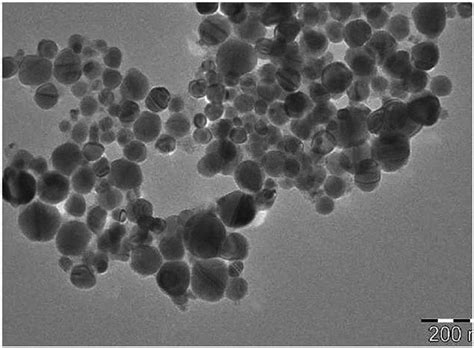 TEM Analysis Of Copper Nanoparticles Irradiated With Ultraviolet