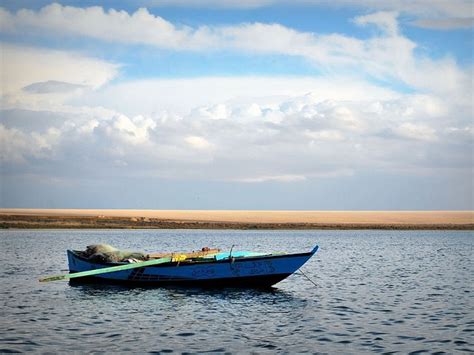 Wadi El Rayan Nature Protectorate Archiqoo