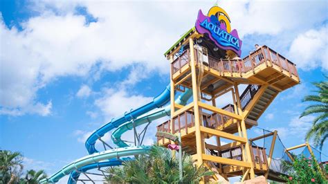 Aquatica Orlando: Ultimate Guide for Families (2024) - FamilyVacationist