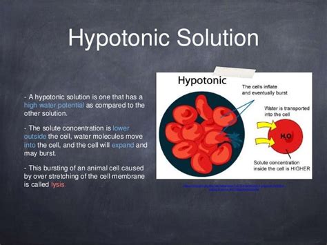 Biology Osmosis And Tonicity