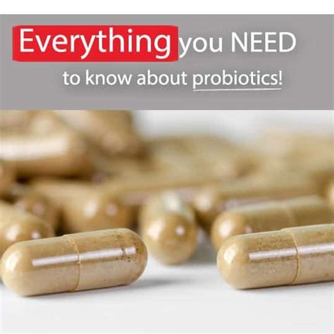 Everything You Need To Know About Probiotics Healthwholeness