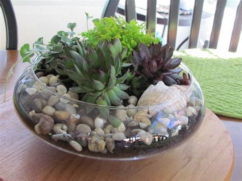 How To Make An Indoor Succulent Dish Garden Dish Garden