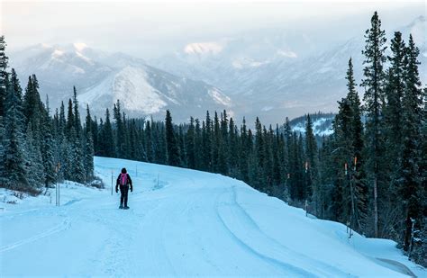 Winter - Fairbanks