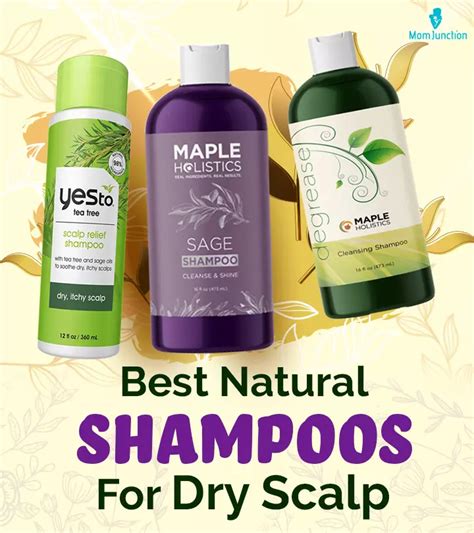 Best Natural Shampoos For Dry Scalp In Momjunction