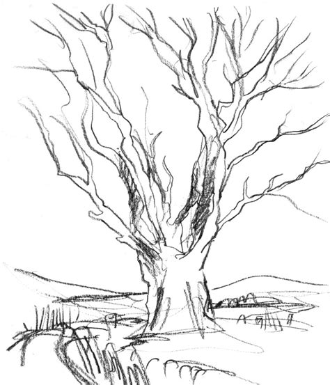 Dead Plant Drawing At Getdrawings Free Download