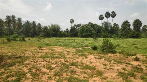 Agricultural Land 2 Acre For Sale In Palakkad Road Coimbatore REI1179791