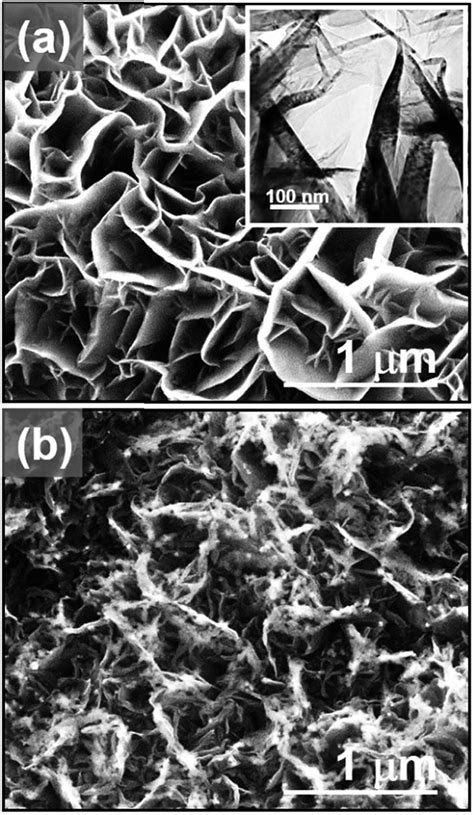 SEM Micrographs For A Bare GNFs Where The Inset Shows The