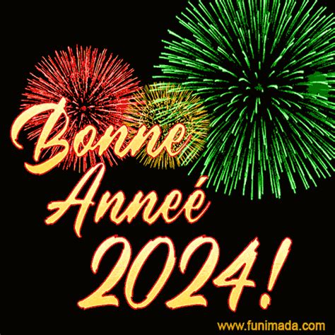 Merveilleuse Année 2024 Funimada