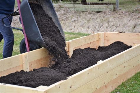 How To Fill A Raised Bed With Healthy Soil And Save Money