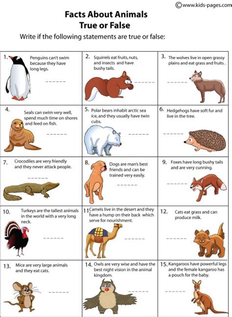 Animals Facts worksheet