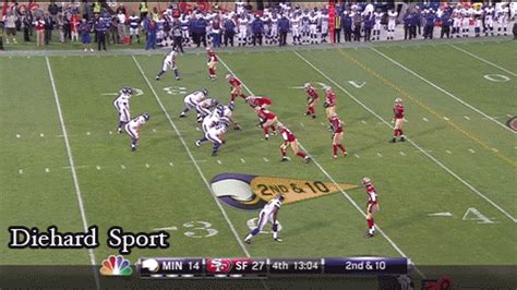 Fans Run Onto Field During The Vikings 49ers Preseason Game