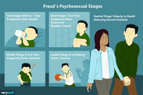 Les étapes du développement humain de Freud Psychologie Sociale