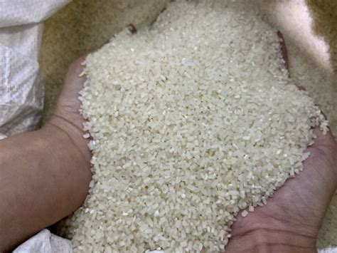 Rice Exports Top Million Cambodianess