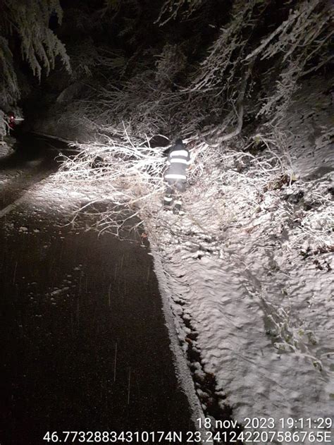 Ziua de Cluj Copaci căzuți pe un drum din Cluj din cauza zăpezii Au