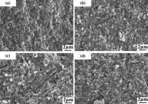 Sem Micrographs Of Fracture Surfaces Of A And B Specimen Used Mgo And