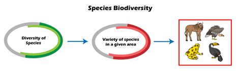 Types Of Biodiversity Javatpoint