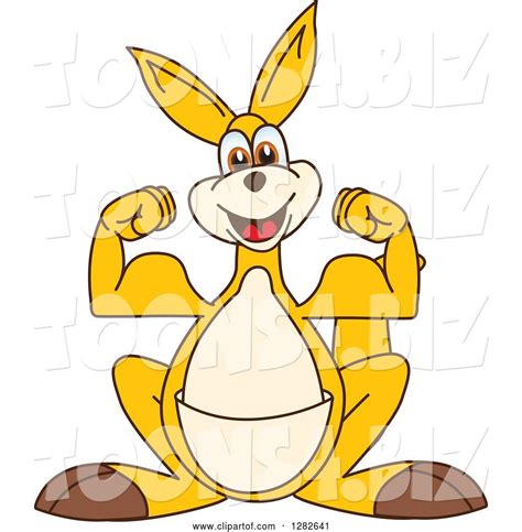 Vector Illustration of a Cartoon Kangaroo Mascot Flexing by Toons4Biz ...