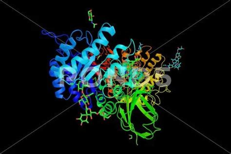 Alpha-galactosidase (3d structure), administered as enzyme replacement ther..: Graphic #71835633