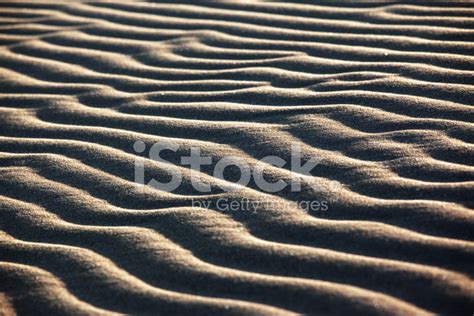 Sand Waves In Desert Stock Photo Royalty Free Freeimages