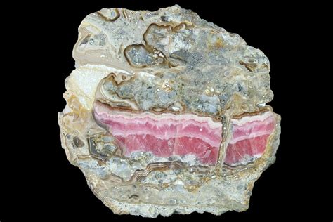 2 5 Rhodochrosite Stalactite Slab Argentina 141718 For Sale