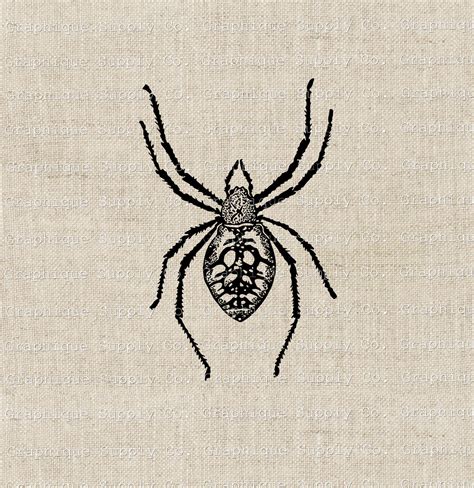 Spider Clip Art Download Black Widow Art Horror Clipart Arachnid ...