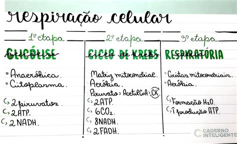 MAPA MENTAL SOBRE RESPIRAÇÃO CELULAR Maps4Study