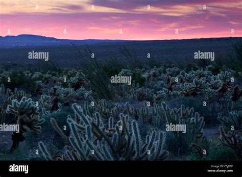 Desert Sunrise Anza Borrego Desert State Park California Stock Photo