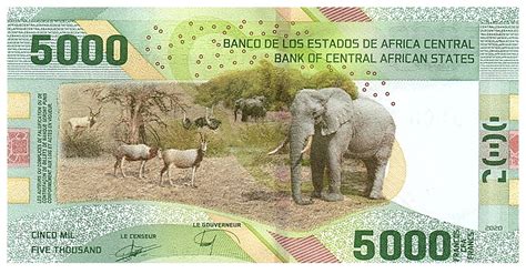 Banknote Central African States Francs Central Bank Of Youand