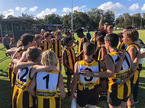 Team In Focus Year 9 Ampjfc Hawks