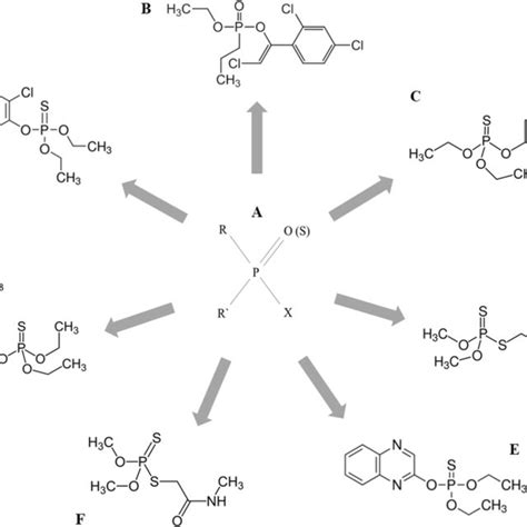 Basic Structure Of Organophosphorus Insecticides A And Examples Of