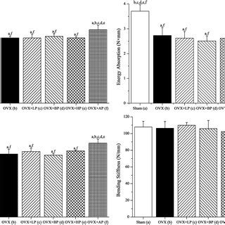 Effects Of Week Emf Exposure On Trabecular Bone Microarchitecture In