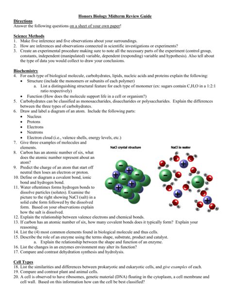 Control Group Biology Example