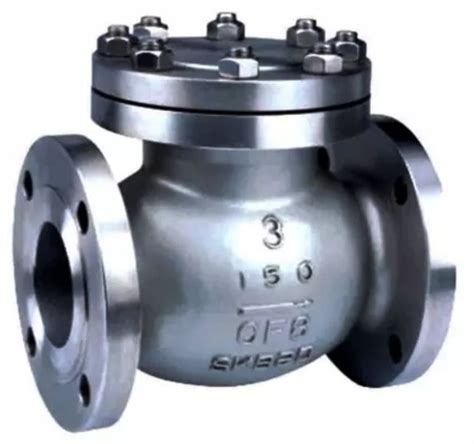 Stainless Steel Swing Check Valve