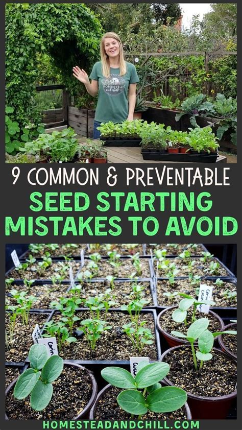 9 common seed starting mistakes to avoid – Artofit 