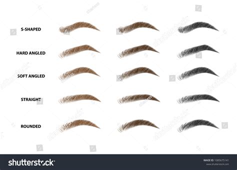 358 416 Eyebrows Images Stock Photos Vectors Shutterstock