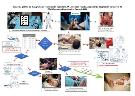 Flujograma reanimación neonatal covid JOHANA SALAZAR CERNA uDocz