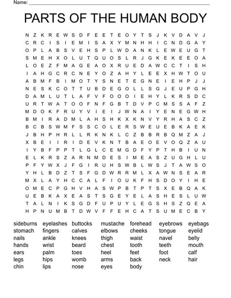 Parts Of The Human Body Word Search Wordmint