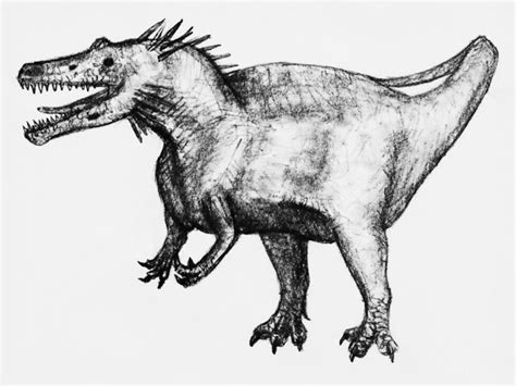 Ostafrikasaurus Pictures & Facts - The Dinosaur Database