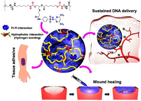 Frontiers Smart Stimuli Responsive Injectable Gels And Hydrogels For