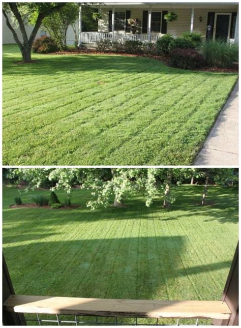 Tips To A Great Lawn Without Using Chemicals Garden Planning Layout