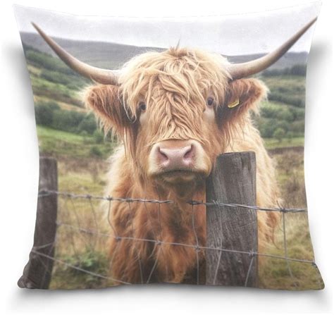 GZHJMY Highland Cow Pillow Cover 18 X 18 Inch Soft Decorative Cushion