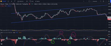 Triple Threat Trading Strategy With MACD Stochastic And RSI