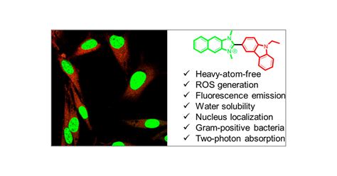 Imidazolium Based Heavy Atom Free Photosensitizer For Nucleus Targeted