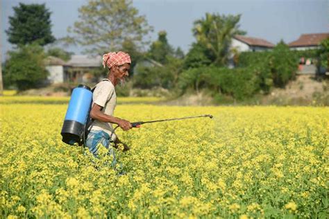 Budget 2024 Farm Sector Lobbies For Greater Investment In