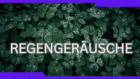 Regengeräusche zum entspannen einschlafen und träumen 14 YouTube