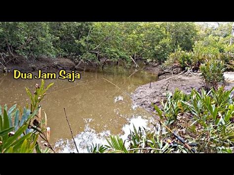 Mancing Sembilang Di Muara Paret Dua Tanjungan Youtube