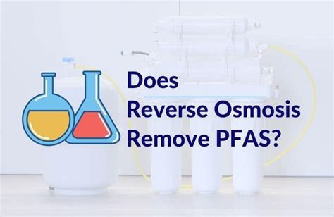 Per And Polyfluoroalkyl Substances Known As Pfas For Short Are A