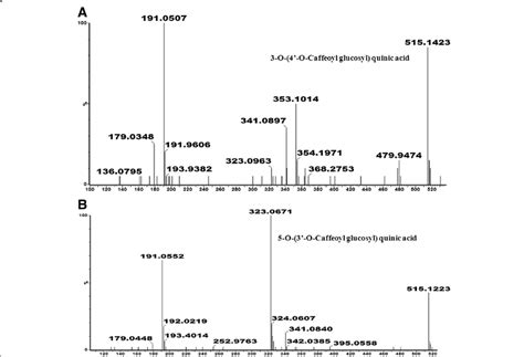 Mass Spectra Of The Fragmentation Patterns Of 3 O 4 O Caffeoyl Download Scientific Diagram