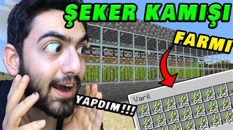 SEKER KAMISI FARMI NASIL YAPILIR Sifirdan Minecraft Öğreniyorüz 5